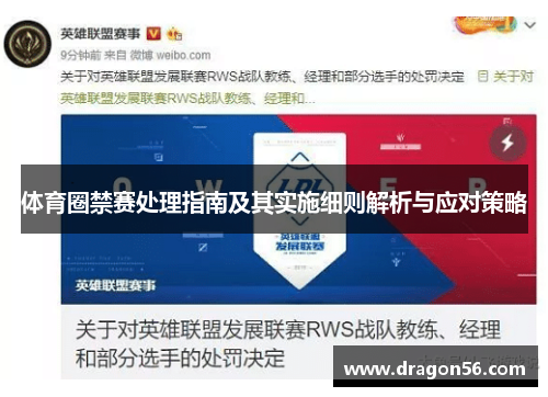 体育圈禁赛处理指南及其实施细则解析与应对策略